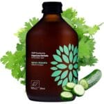 Ceai Kombucha cu castraveti si coriandru bio fara gluten, Vigo 330ml - imagine 2