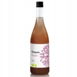 Kombucha cu mango si fructul pasiunii bio fara gluten, Vigo 750m